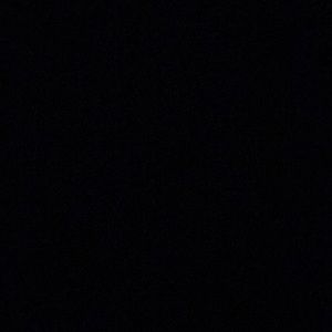 Meet your Posher, Tony